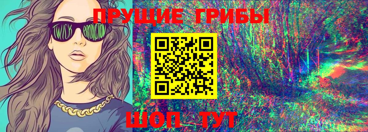 Псилоцибиновые грибы Cubensis Ялта