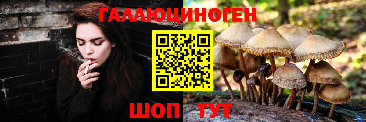 Ялта  Галлюциногенные грибы Cubensis  Вход с VPN 